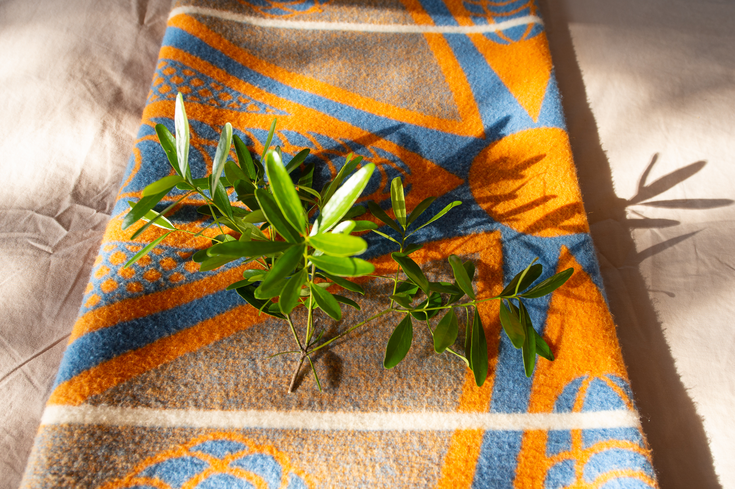 Zululand Lodge thumbnail 21